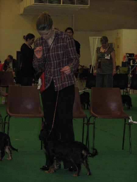 Publication : de Nais Line Auteur : Vautard Anais