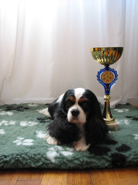 Publication : de Nais Line Auteur : anais vautard