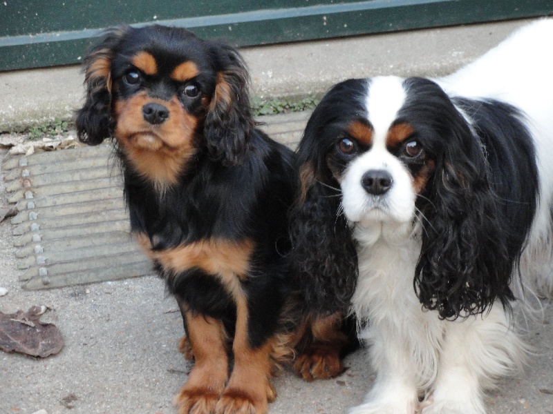 Publication : de Nais Line Auteur : anais vautard