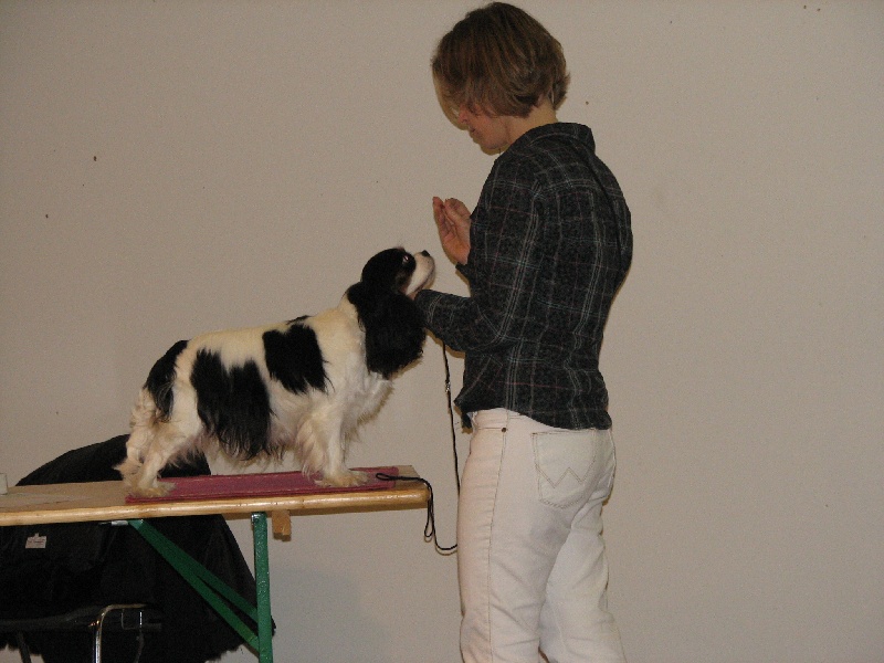 Publication : de Nais Line Auteur : anais vautard