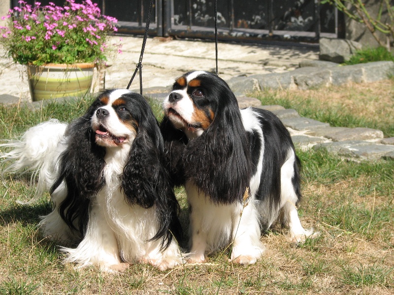 Publication : de Nais Line Auteur : anais vautard