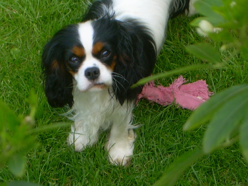 Publication : de Nais Line Auteur : anais vautard