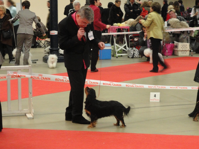 Flash dance of Sevijean's - EXCELLENT