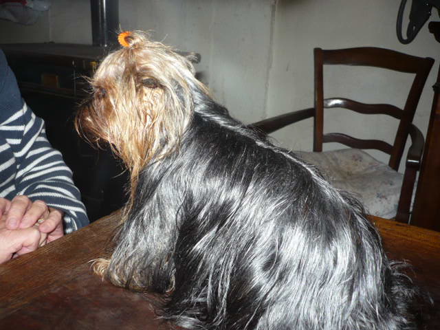 Publication : du Marquis de Longuelance Auteur : vivette.maurin