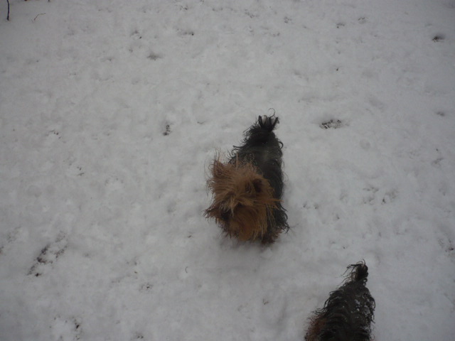 Publication : du Marquis de Longuelance Auteur : vivette.maurin