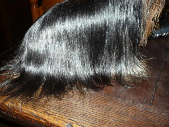 Publication : du Marquis de Longuelance Auteur : vivette.maurin