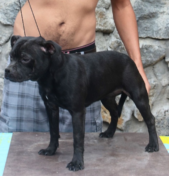 Publication : Red charming's Auteur : phocion