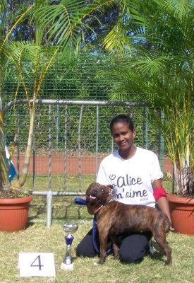 Red charming's Callice D-O