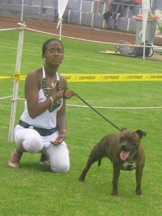 Red charming's Callice D-O