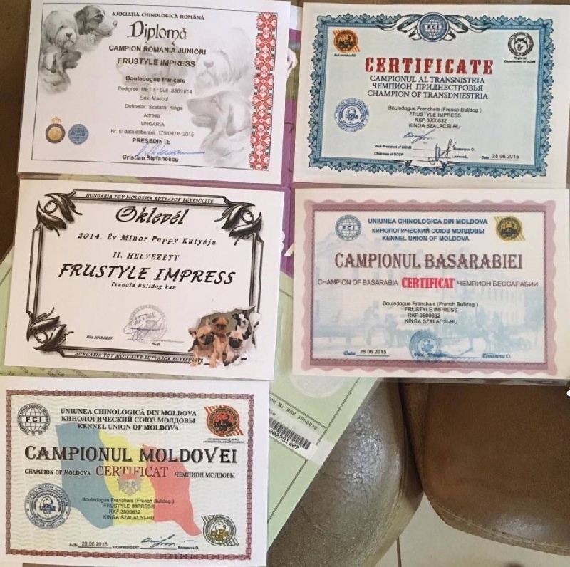 Publication : Red charming's Auteur : Kinga Szalacsi