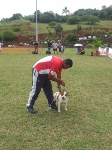 Red charming's Daiko - 2eme Assez prometteur