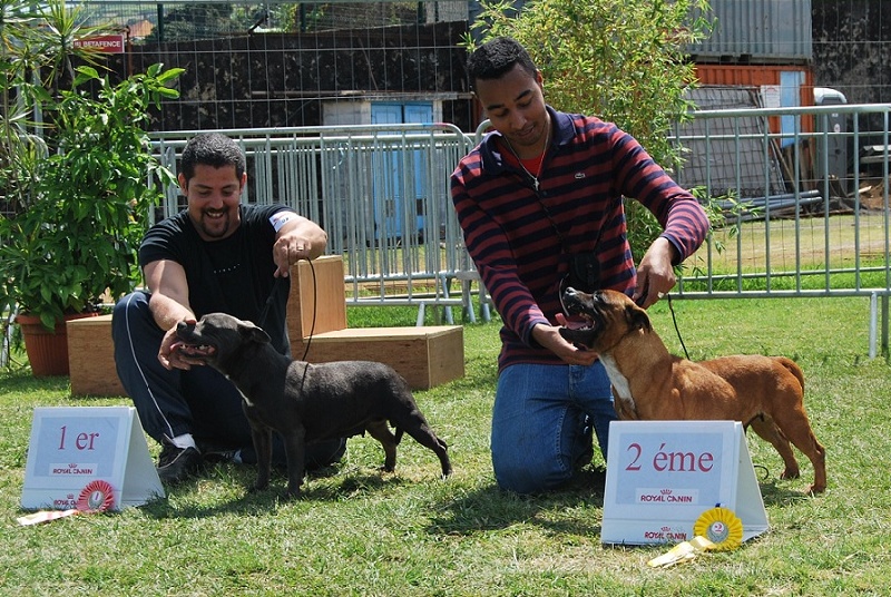 (importe france) c'kerminette Des têtes brulées - 2eme Excellent