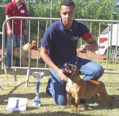 (importe france) c'kerminette Des têtes brulées - 1er Excellent Classe Intermediaire
