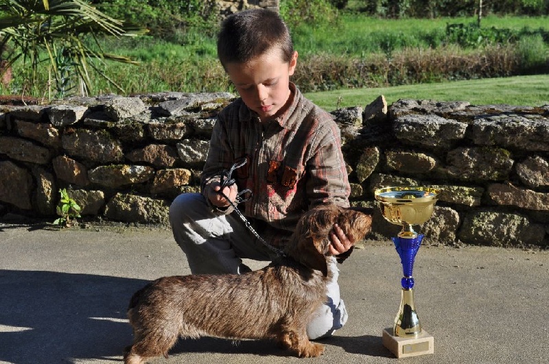 Publication : de Gouël-Roch