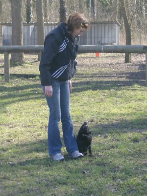 CH. Pearls tamara dite diam's Van de welhaven