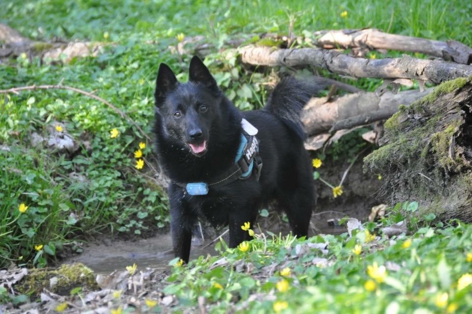 Make me happy de l'empire du Phoenix - 2 ème très bon