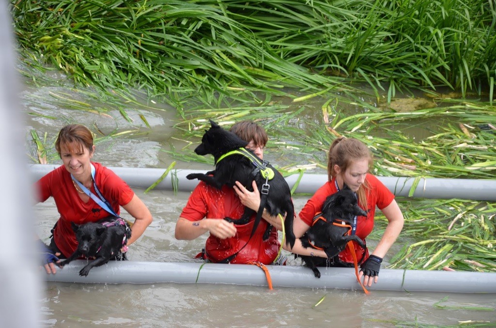 Make me happy de l'empire du Phoenix - 2 ème groupe