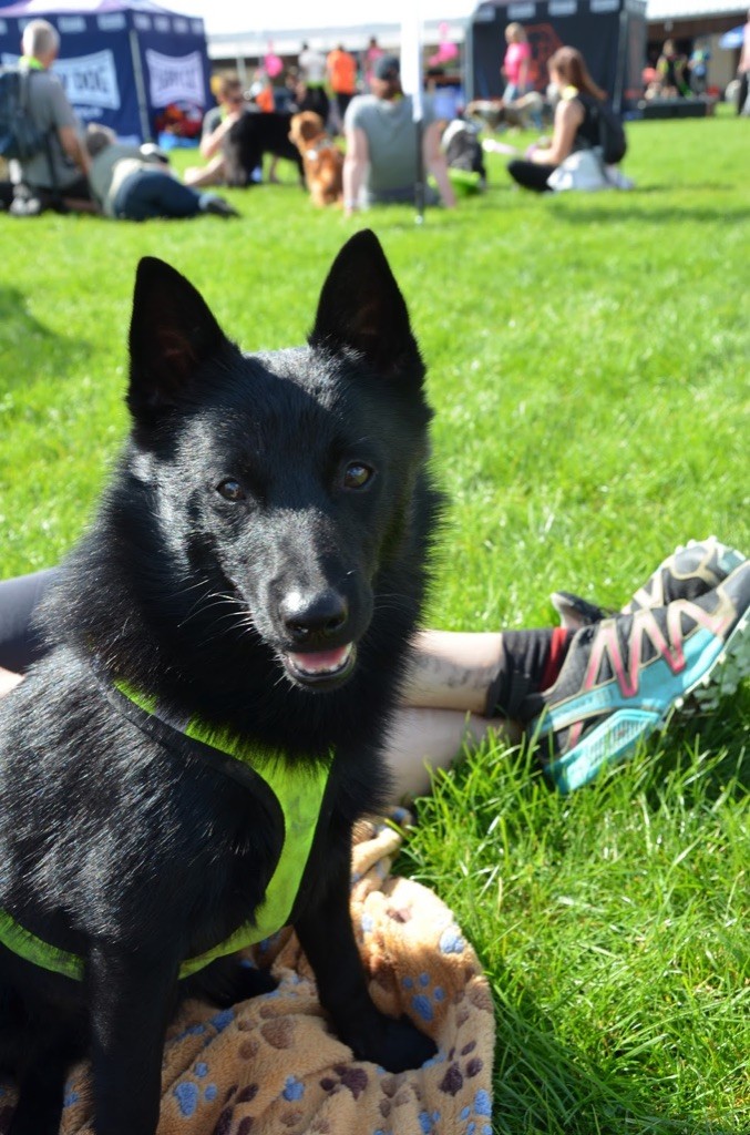 Make me happy de l'empire du Phoenix - Très bon en classe jeune