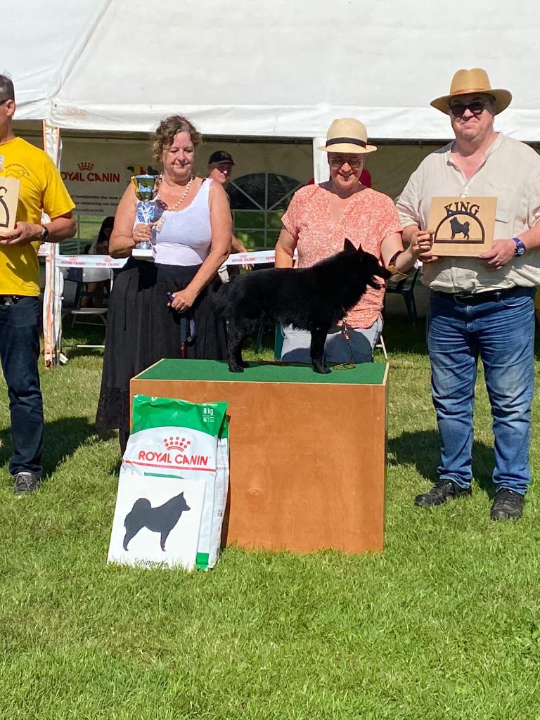 Make me happy de l'empire du Phoenix - 1 er excellent CAC ROI DE BELGIQUE BOS (MEILLEUR DE SEXE OPPOSÉ)