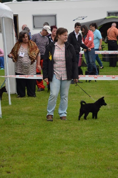 Make me happy de l'empire du Phoenix - 4 ème très prometteur