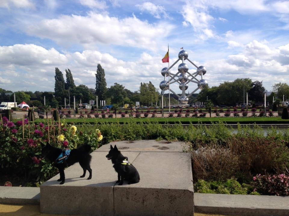 Make me happy de l'empire du Phoenix - 1 ier Prometteur