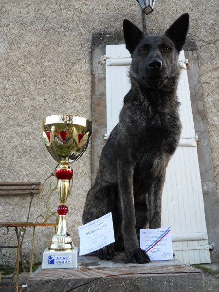 Heloise_bobbie met Frasnay's Flair - 1e Excellent, CACS, Meilleur de race