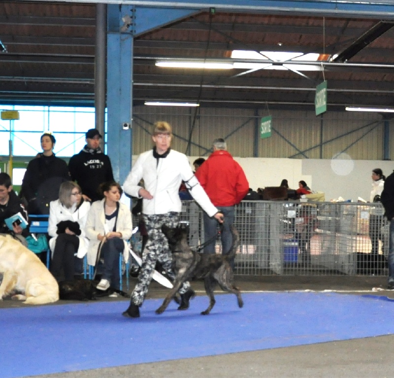 Heloise_bobbie met Frasnay's Flair - Très Prometteur