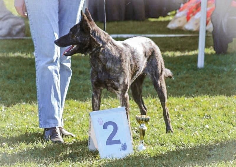 Heloise_bobbie met Frasnay's Flair - 2e Excellente