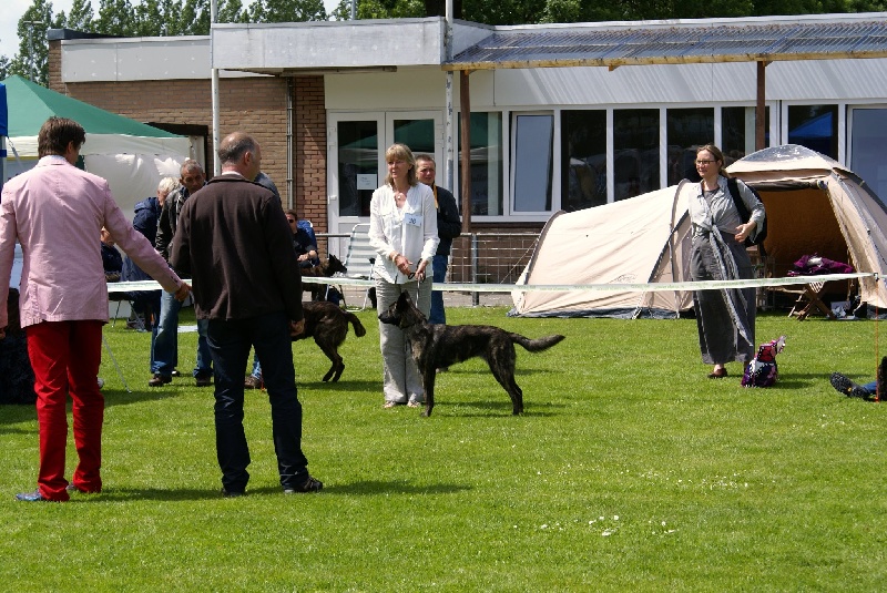 Heloise_bobbie met Frasnay's Flair - 1e Excellent (classe jeune)