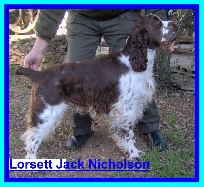 lorsett Jack nicholson - EXCELLENT N°01 Meilleur Jeune