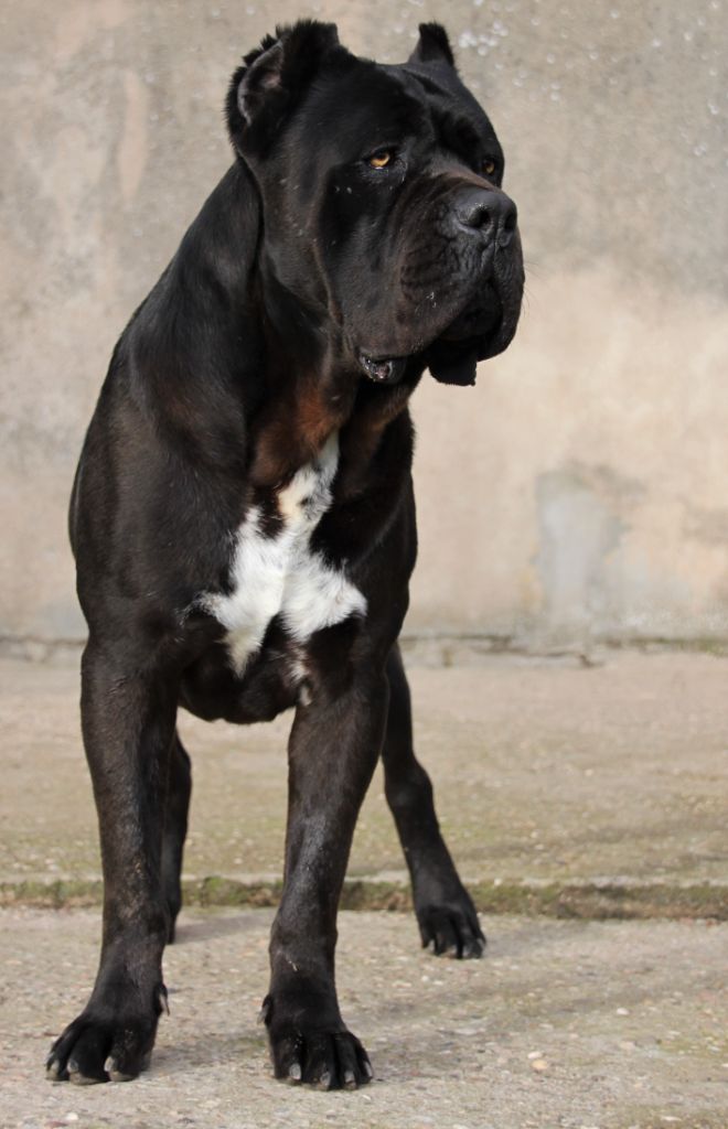 Publication : du domaine des Forts