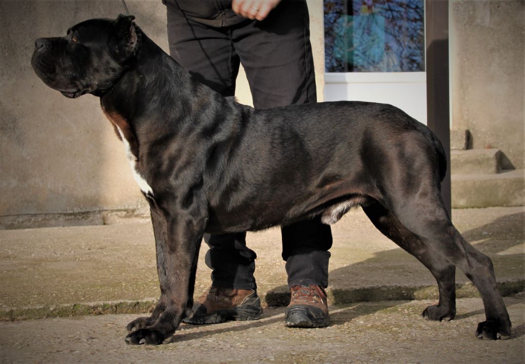 Publication : du domaine des Forts