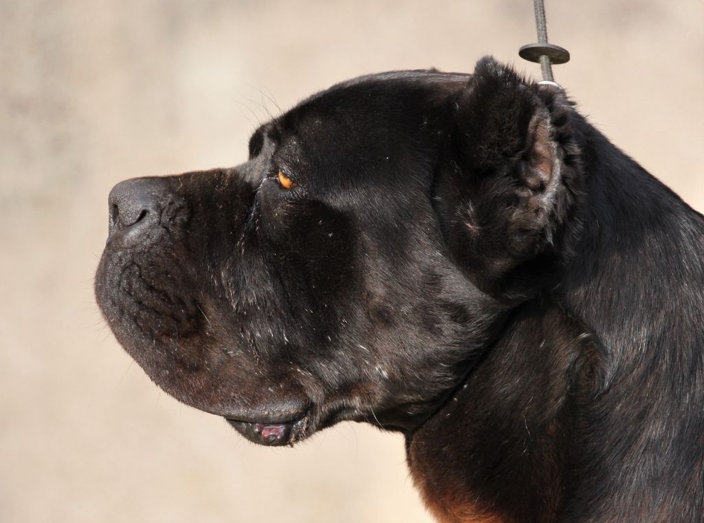 Publication : du domaine des Forts