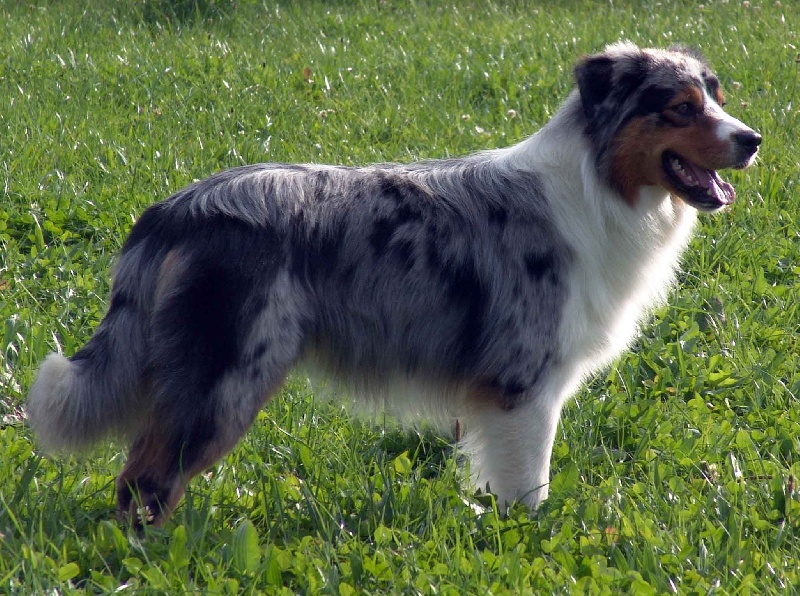 Publication : Bis Malpertuis Auteur : CP