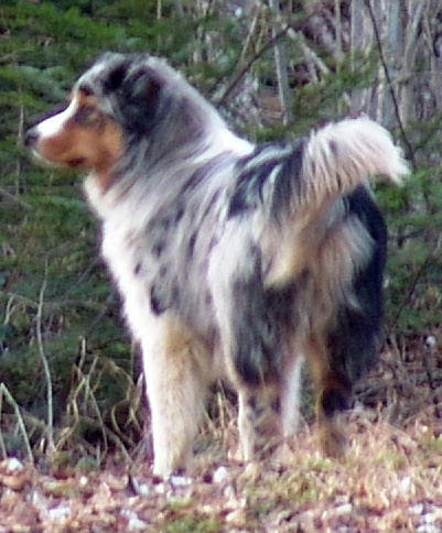 Publication : Bis Malpertuis Auteur : CP