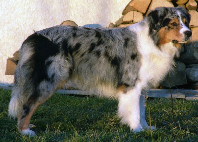 Publication : Bis Malpertuis Auteur : CP