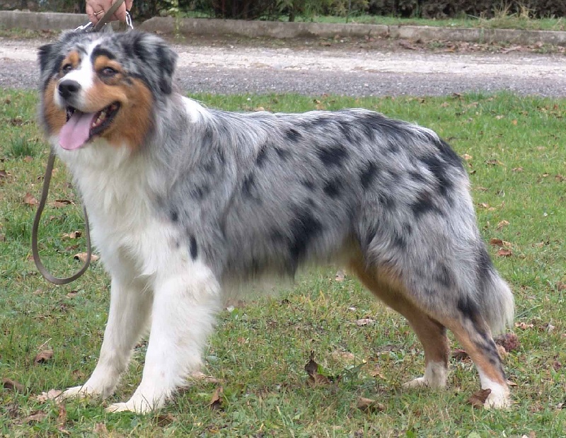 Publication : Bis Malpertuis Auteur : CP