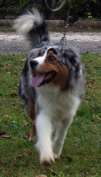 Publication : Bis Malpertuis Auteur : CP