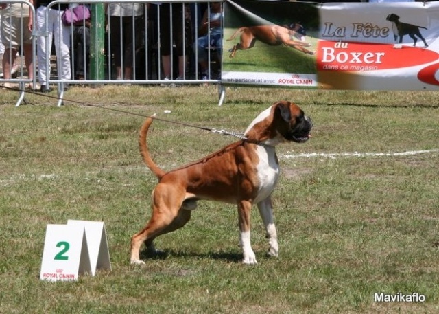 CH. Chavarch de la vallée de Porcaro - 2 Exc