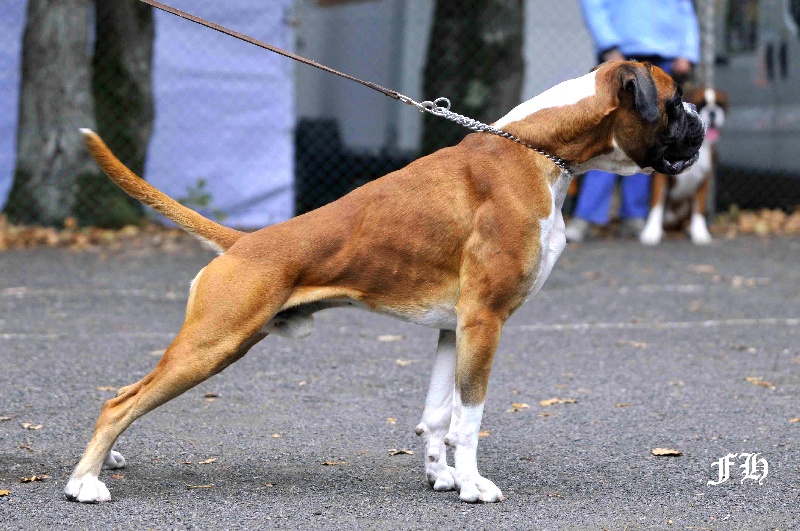 CH. Chavarch de la vallée de Porcaro - 3 Exc