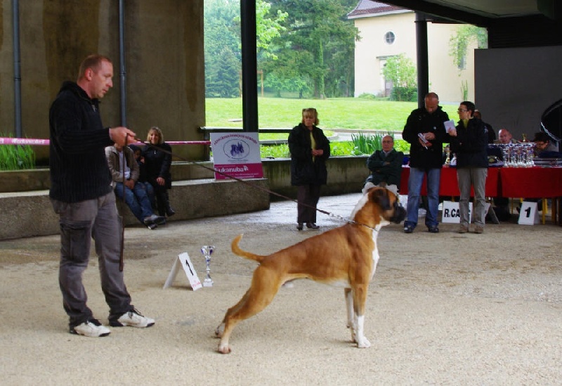 CH. Chavarch de la vallée de Porcaro - 3 Exc