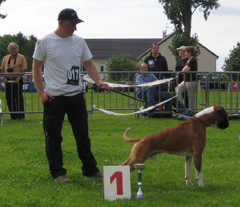 CH. Chavarch de la vallée de Porcaro - 1 Exc - Meilleur Jeune Mâle - Médaille de bronze - CAJ