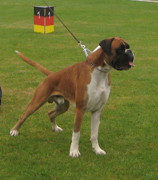 CH. Chavarch de la vallée de Porcaro - Exc