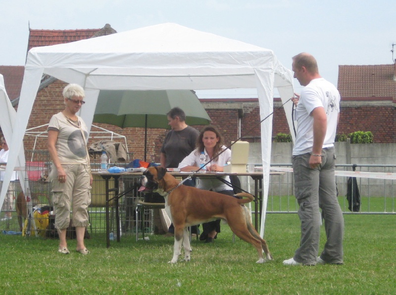 CH. Chavarch de la vallée de Porcaro - 1 Exc - Réserve CACS