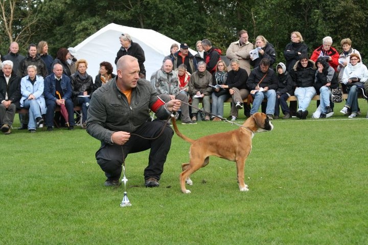 Flamiche des chetemis - 1 TP - Meilleur Baby de l'Exposition