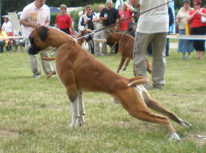 CH. Chavarch de la vallée de Porcaro - Exc