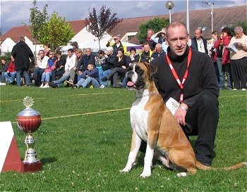 CH. Chavarch de la vallée de Porcaro - 1 TP - Meilleur Puppy Mâle