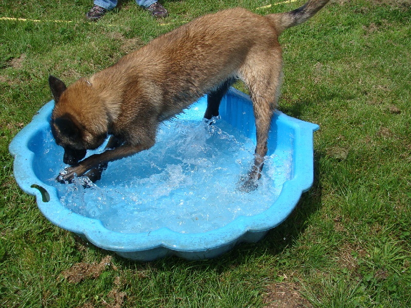 Publication : des sources de cuy Auteur : nathalie