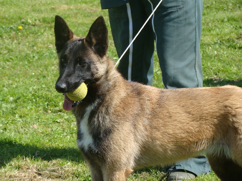 Publication : des sources de cuy Auteur : nathalie