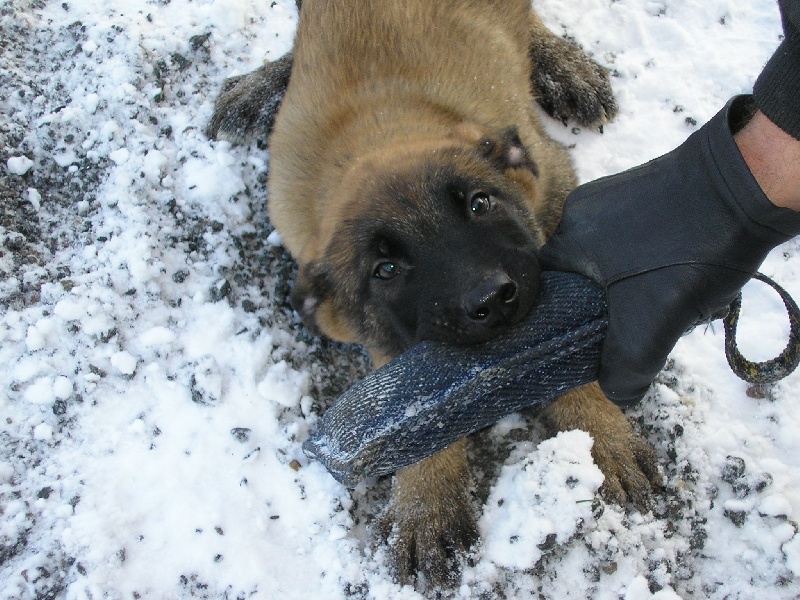 Publication : des sources de cuy Auteur : nathalie